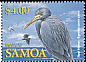 Pacific Reef Heron Egretta sacra  2004 Seabirds of Samoa 