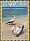 Masked Booby Sula dactylatra  2016 Pacific marine life 12v set