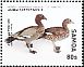 Maned Duck Chenonetta jubata  2016 Animals of the world 20v set