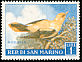 Eurasian Golden Oriole Oriolus oriolus  1960 Birds 
