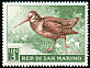 Eurasian Woodcock Scolopax rusticola  1960 Birds 
