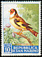 European Goldfinch Carduelis carduelis  1960 Birds 