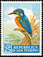 Common Kingfisher Alcedo atthis  1960 Birds 