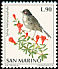 Sardinian Warbler Curruca melanocephala