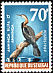 African Darter Anhinga rufa  1969 Birds 