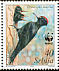 Black Woodpecker Dryocopus martius  2007 WWF 