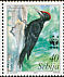 Black Woodpecker Dryocopus martius  2007 WWF 