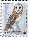 Western Barn Owl Tyto alba