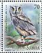 Eurasian Scops Owl Otus scops  2017 Owls 