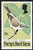 Seychelles Warbler Acrocephalus sechellensis  1972 Rare Seychelles birds 