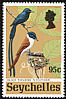 Seychelles Paradise Flycatcher Terpsiphone corvina  1972 Rare Seychelles birds 