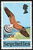 Seychelles Kestrel Falco araeus  1972 Rare Seychelles birds 