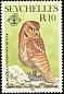 Seychelles Scops Owl Otus insularis
