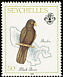Seychelles Black Parrot Coracopsis barklyi  1989 Island birds 