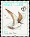 Sooty Tern Onychoprion fuscatus  1989 Island birds 
