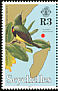 Souimanga Sunbird Cinnyris sovimanga  1996 Birds 