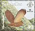 Seychelles Scops Owl Otus insularis  2001 BirdLife Sheet