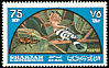 Eurasian Hoopoe Upupa epops  1965 Birds 
