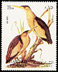 Little Bittern Ixobrychus minutus  1972 Birds 
