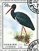 Black Stork Ciconia nigra  1972 Birds 