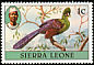 Guinea Turaco Tauraco persa  1980 Birds 