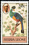 Great Blue Turaco Corythaeola cristata  1980 Birds 