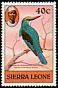 Blue-breasted Kingfisher Halcyon malimbica  1980 Birds 