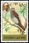Timneh Parrot Psittacus timneh  1981 Imprint 1981 on 1980.01 