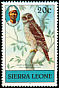African Wood Owl Strix woodfordii  1981 Imprint 1981 on 1980.01 