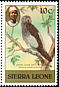 Timneh Parrot Psittacus timneh  1982 Imprint 1982 on 1980.01 