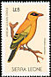 African Golden Oriole Oriolus auratus  1988 Birds 