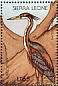 Purple Heron Ardea purpurea  1988 Birds  MS