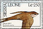 African Palm Swift Cypsiurus parvus  1990 Birds  MS