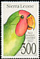 Red-headed Lovebird Agapornis pullarius