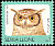 Spotted Eagle-Owl Bubo africanus  1992 Birds definitives 