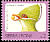 Yellow-billed Turaco Tauraco macrorhynchus  1992 Birds definitives 
