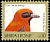 Black-winged Red Bishop Euplectes hordeaceus  1992 Birds definitives 