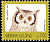 Northern White-faced Owl Ptilopsis leucotis  1992 Birds definitives 