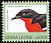 Crimson-breasted Shrike Laniarius atrococcineus