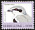 Great Grey Shrike Lanius excubitor  1999 Birds definitives 