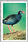 African Swamphen Porphyrio madagascariensis  1999 Birds of Africa Sheet