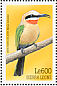 White-fronted Bee-eater Merops bullockoides