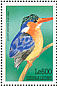 Malachite Kingfisher  Corythornis cristatus