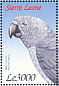 Grey Parrot Psittacus erithacus  1999 A wonderland of wildlife  MS