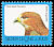 Red-necked Buzzard Buteo auguralis  2000 Imprint 2000 on 1992.05 
