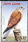 Common Kestrel Falco tinnunculus  2000 Birds of Africa 