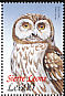 Little Owl Athene noctua  2000 Birds of Africa 