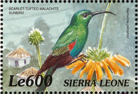 Scarlet-tufted Sunbird stamps - mainly images - gallery format