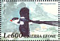 Pin-tailed Whydah Vidua macroura  2000 Birds of Africa Sheet