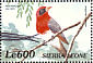Red-headed Weaver Anaplectes rubriceps  2000 Birds of Africa Sheet